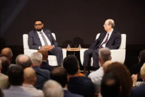 “Come Home” and Bring Capital: The Diaspora Investment Vehicle Needs Explaining